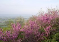 Screenshot 2026-02-11 at 11.38.03 AM.jpg