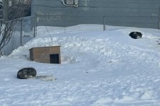 IMG_0253.jpeg IMG_0253.jpeg