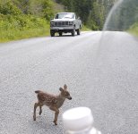 Screenshot 2026-03-02 at 3.42.16 PM.jpg