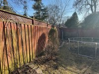 1774694433300.jpeg 1774694433300.jpeg