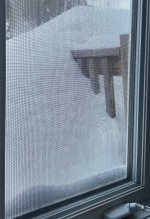 1775346519257.jpeg 1775346519257.jpeg