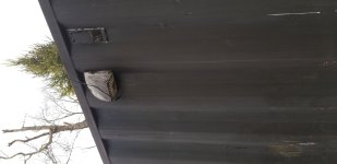 20260406_181049.jpg 20260406_181049.jpg