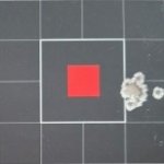 2026-04-17 - 50 Yards -1.jpg