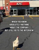 1778104541472.png