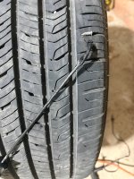 IMG_6046.jpeg