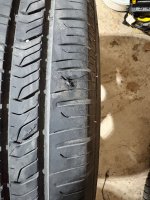 IMG_6047.jpeg
