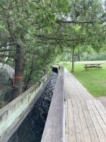 IMG_0446.jpg