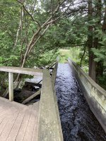 IMG_0445.jpg