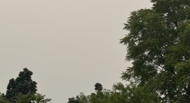 IMG_4425.jpeg