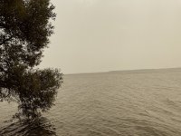 IMG_0460.jpg