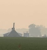 IMG_1384.jpeg