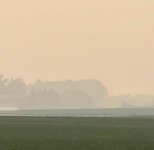 IMG_1383.jpeg