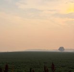 IMG_1385.jpeg