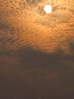IMG_1386.jpeg