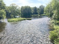 IMG_0464.jpg IMG_0464.jpg