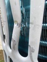 IMG_7727.jpeg