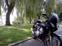 2008 Honda CBF1000A - $3200 OBO