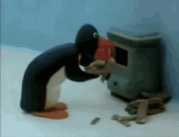 pingu-pingus-father.gif pingu-pingus-father.gif