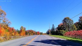 fall colours 1.jpg fall colours 1.jpg