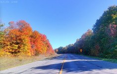 Fall colours2.jpg Fall colours2.jpg