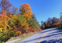 fall colours3.jpg fall colours3.jpg
