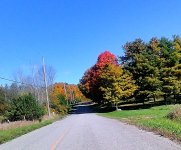 fall colors 4.jpg fall colors 4.jpg