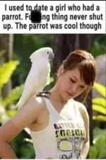 parrot.webp