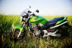 bike pic.jpg