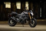 yamaha-fz8-03.jpg