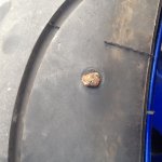 tire.jpg