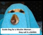 barka.jpg