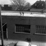 skating-roof-500x500.jpg