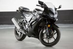 Ninja250rsmall-1.jpg