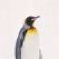 Penguin oO