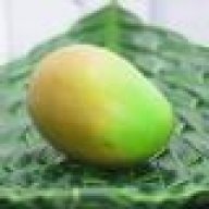 sourmango