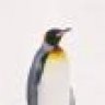 Penguin oO