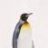 Penguin oO